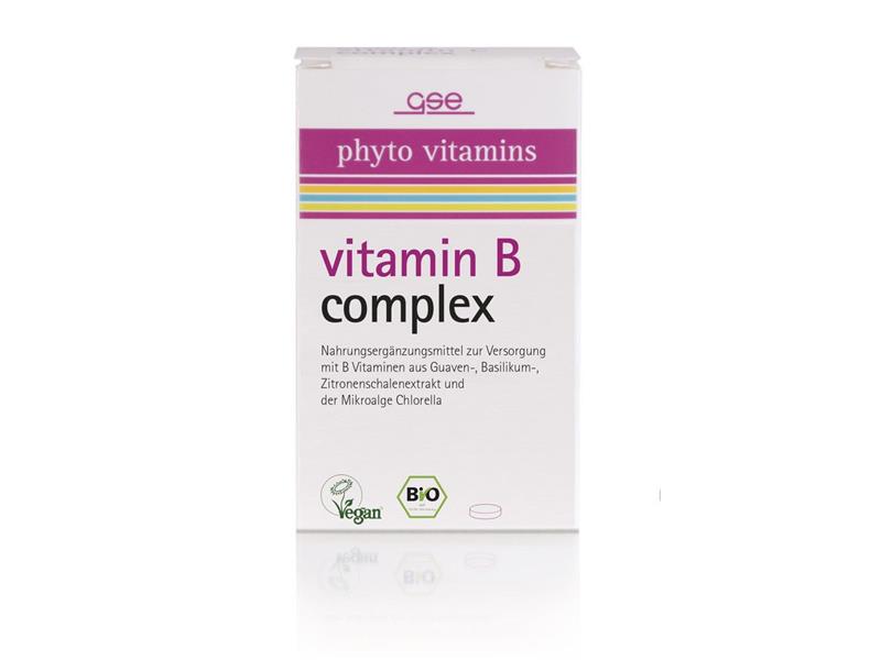 GSE Phyto Vitamin B Complex Bio 30g